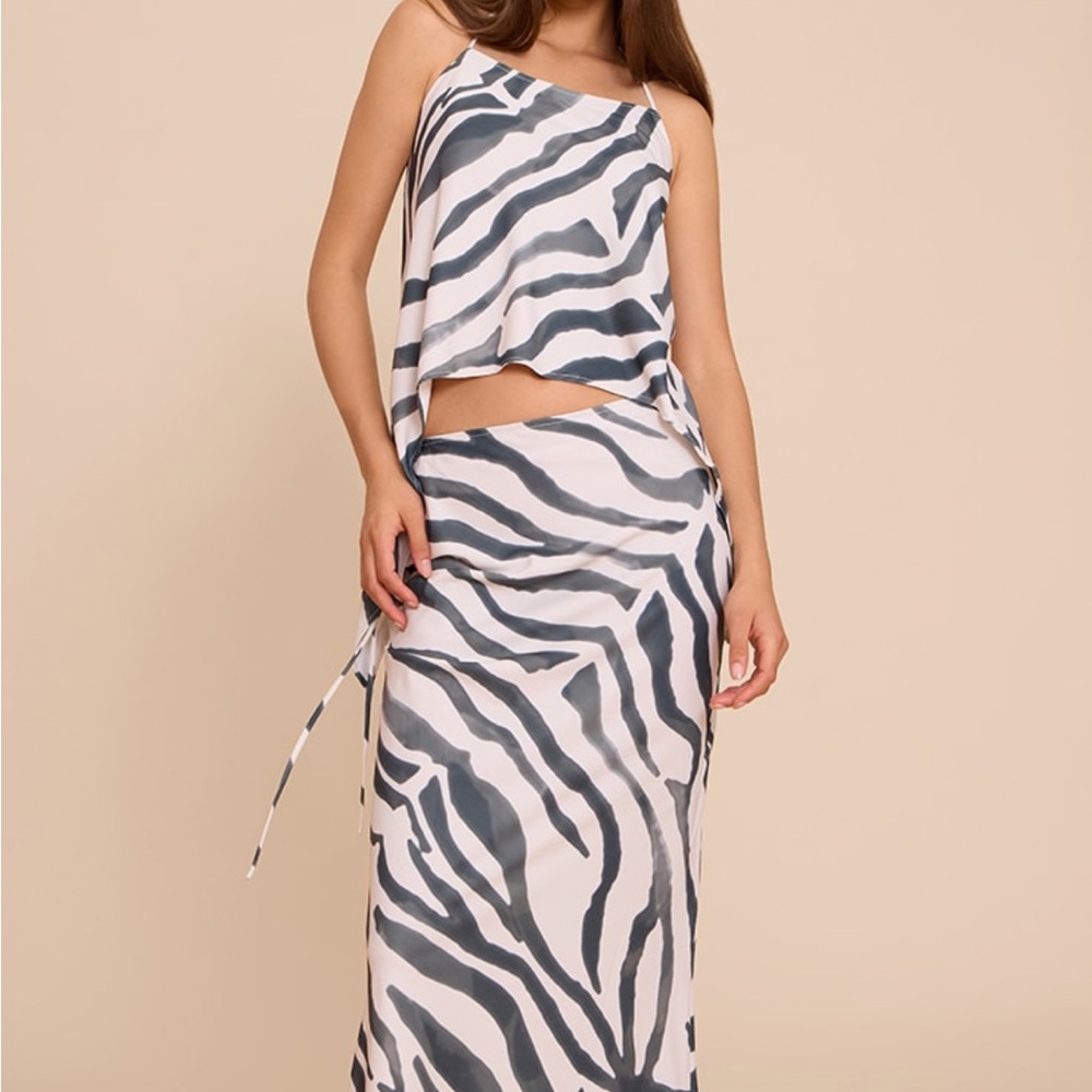 PLT Zebra Print Maxi Skirt & Top SET